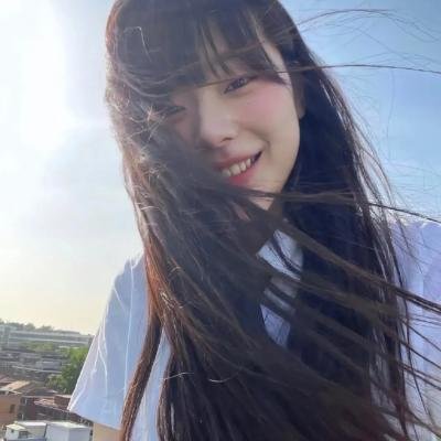 狼与狮子